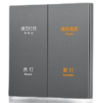 Tuya DS-111