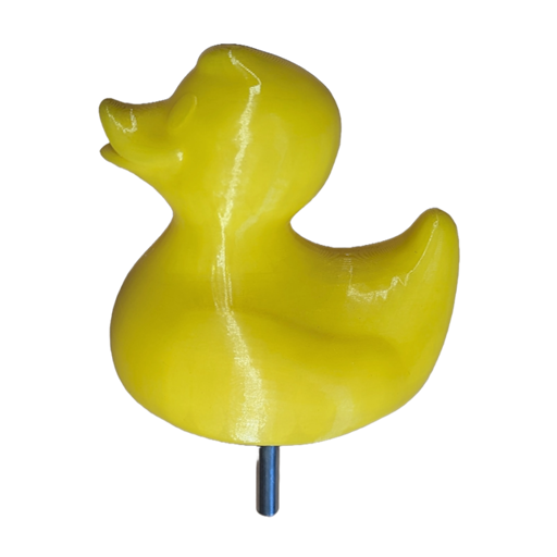 Bacchus Duck Pool Thermometer