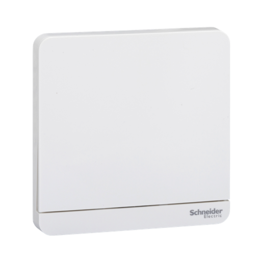 Schneider Electric E8331SRY800ZB