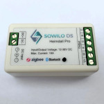 Sowilo DS L258